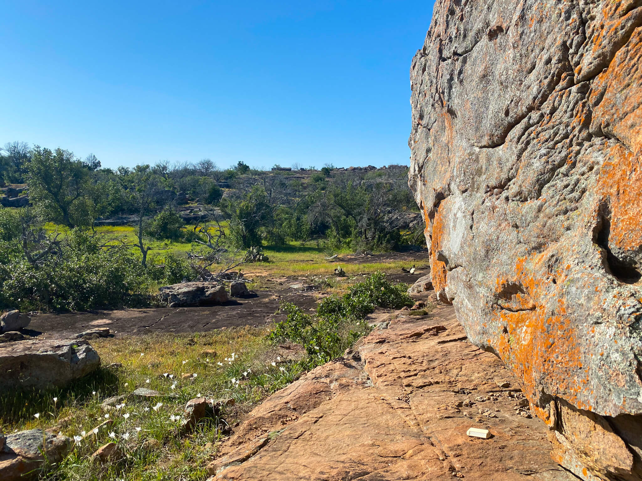 Location Texas Eclipse Festival 2025