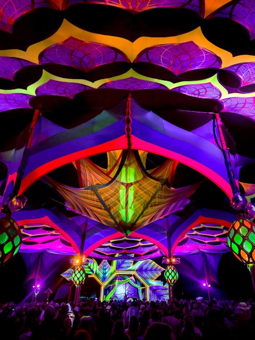 Contact Texas Eclipse Festival 2024