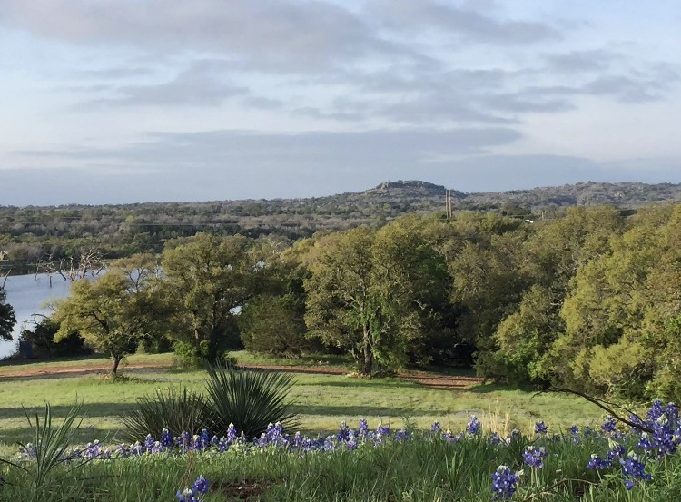 Texas Eclipse Festival 2024 in TX