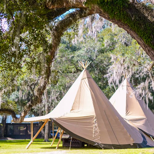 Grove Oasis Glamping